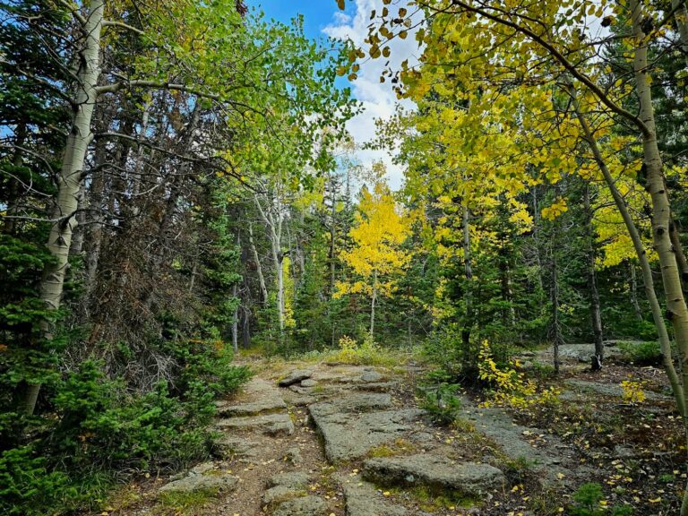 Savoring Eugene: Top Culinary Experiences